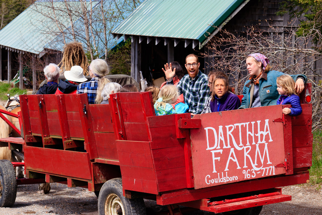 Spring Time Farm Tours